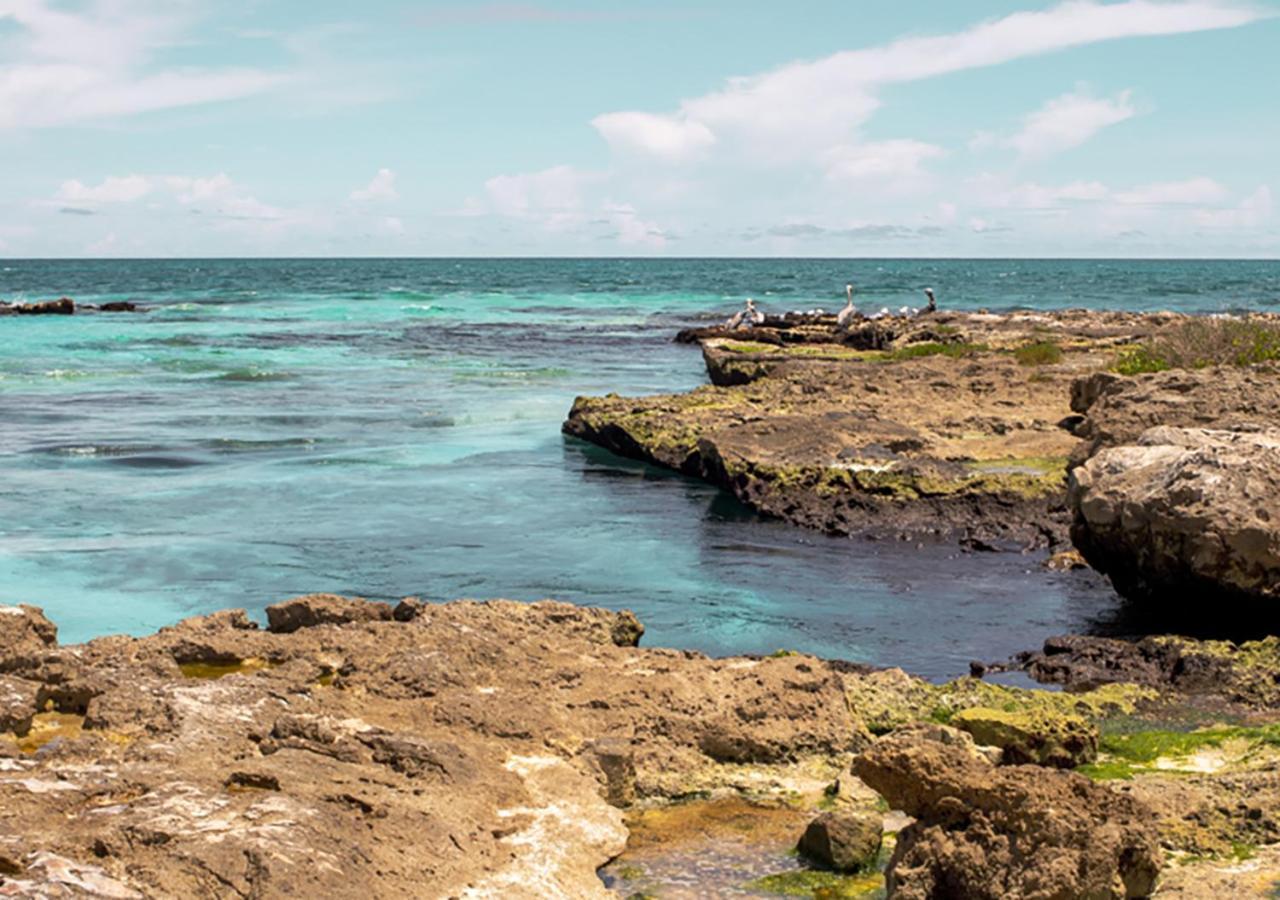 Kaanal Tulum Apartment Ngoại thất bức ảnh